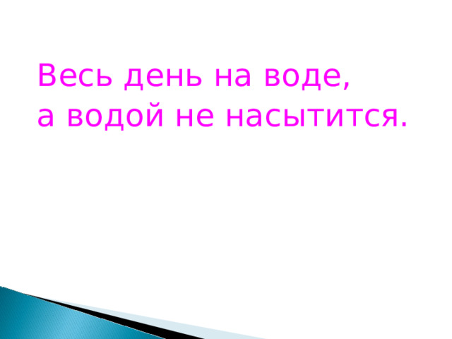 Весь день на воде, а водой не насытится. 