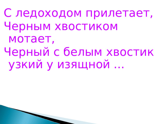 С ледоходом прилетает, Черным хвостиком мотает, Черный с белым хвостик узкий у изящной ... 