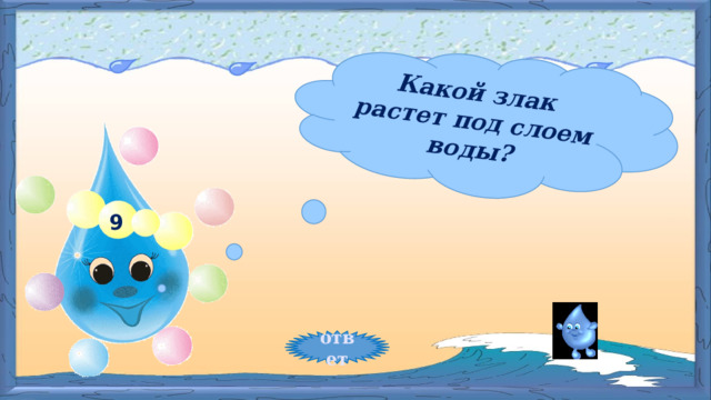 Какой злак растет под слоем воды? 9   ответ 