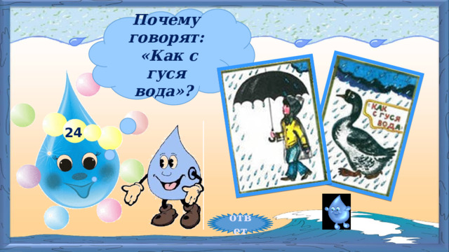 Почему говорят:  «Как с гуся вода»? 24 ответ 
