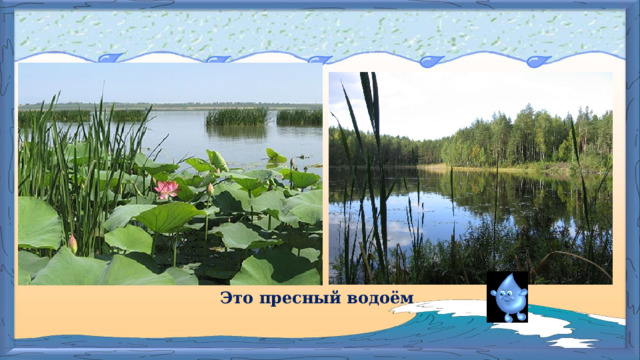 Это пресный водоём 