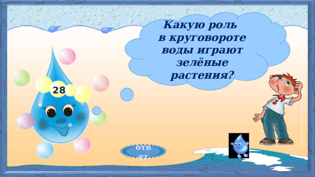 Какую роль в круговороте воды играют зелёные растения? 28 ответ 