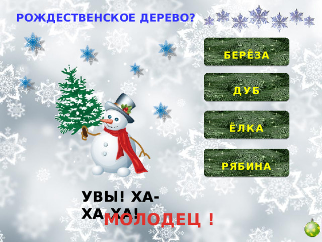 РОЖДЕСТВЕНСКОЕ ДЕРЕВО?  БЕРЁЗА   ДУБ   ЁЛКА   РЯБИНА  УВЫ! ХА-ХА-ХА! УВЫ! ХА-ХА-ХА! УВЫ! ХА-ХА-ХА! МОЛОДЕЦ ! 
