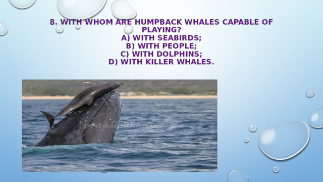 8. With whom are humpback whales capable of playing?  A) with seabirds;  B) with people;  с) with dolphins;  D) with killer whales. 