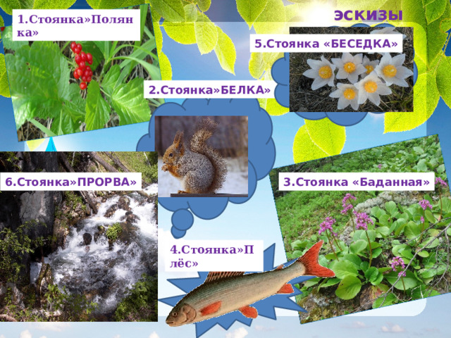 эскизы 1.Стоянка»Полянка» 5.Стоянка «БЕСЕДКА» 2.Стоянка»БЕЛКА» Стоянка «Белка» 6.Стоянка»ПРОРВА» 3.Стоянка «Баданная» 4.Стоянка»Плёс» 