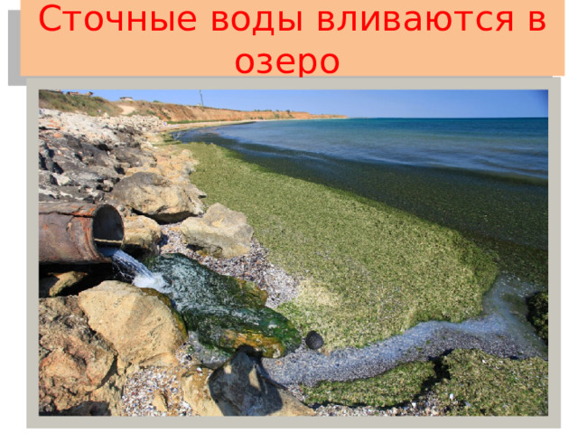 Сточные воды вливаются в озеро 