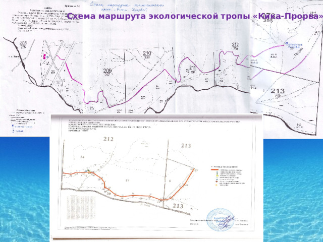 Схема маршрута экологической тропы «Кика-Прорва» № квартала № выдела 208 14 Площадь, га. стоянка Трасса 0,12 0,01 16 20 0,08 0,02 18 23 0,12 17 0,01 19 Итого 0,23 0,07 17 0,66 0,06 14 19 0,03 15 0,12+0,01-Плес 16 Итого 0,03 210 0,29 19 0,54 0,24 18 Итого 0,30+0,01-Баданная 211 12 0,55 Итого 13 0,29 212 0,16+0,01 Залив 0,46 14 17 0,1 20 Итого 0,17 213 0,35 0,62 6 Итого 0,26 30 0,26 25 0,02+0,01 Беседка Итого 0,23 2 Всего 0,04+0,01-Прорва 0,31 3,43 