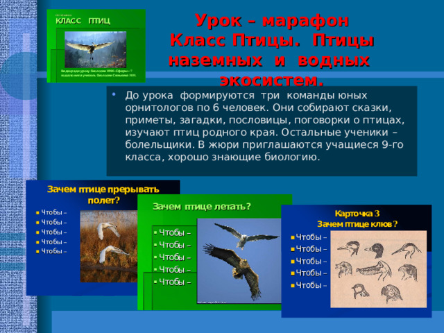 Урок –проект  «Наше поколение выбирает здоровье» или «Культура здоровья». Под проекты: 1.Культура физического здоровья. 2. Среда жизни здорового человека. 3. Влияние образа жизни на состояние здоровья. 4. Формирование здорового образа жизни.  Осуществление учебного проекта. Форма организации учебной деятельности – групповая. Над каждым под проектом работает группа учащихся, их учебная деятельность носит разноплановый теоретический и практический характер и состоит из 4-х шагов. Первый – изучение теории вопроса.  Второй – исследование особенностей собственного организма. Третий – формирование имеющихся проблем на основании полученных результатов. Четвертый – составление программы по устранению этой проблемы. 