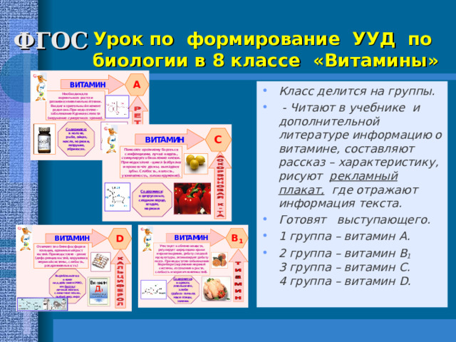 МОУ СОШ№14  КЛАСС ПТИЦ    Видеоряд к уроку биологии УМК «Сферы» 7 подготовила учитель биологии Сенькина Н.Н. 