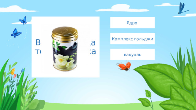 Введите сюда текст вопроса Ядро Комплекс гольджи вакуоль 