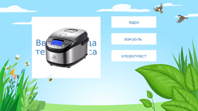 ядро Введите сюда текст вопроса вакуоль хлоропласт 