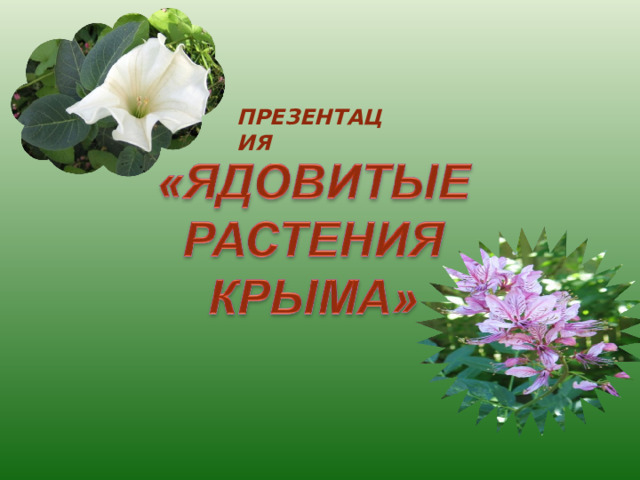 ПРЕЗЕНТАЦИЯ 
