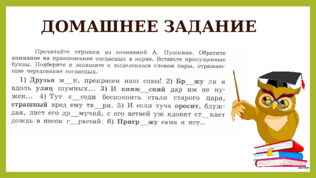 ДОМАШНЕЕ ЗАДАНИЕ 