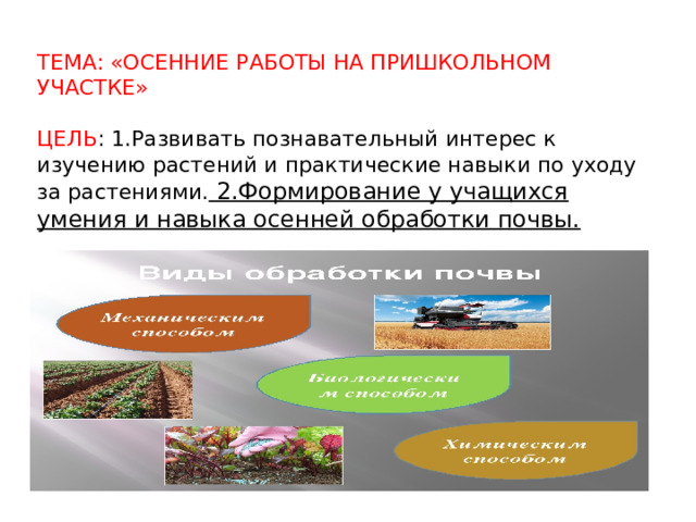ТЕМА: «ОСЕННИЕ РАБОТЫ НА ПРИШКОЛЬНОМ УЧАСТКЕ» ЦЕЛЬ : 1.Развивать познавательный интерес к изучению растений и практические навыки по уходу за растениями. 2.Формирование у учащихся умения и навыка осенней обработки почвы. 