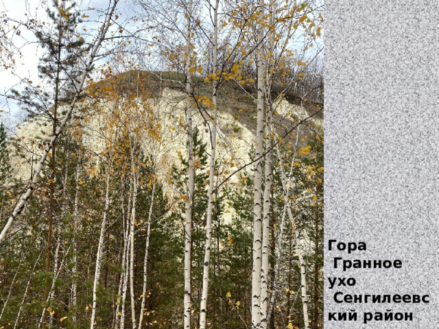 Гора  Гранное ухо   Сенгилеевский район 