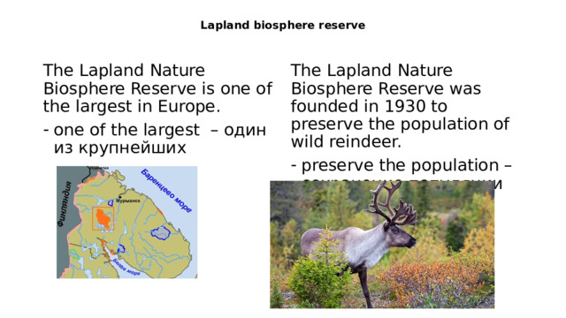 Lapland biosphere reserve   The Lapland Nature Biosphere Reserve is one of the largest in Europe. The Lapland Nature Biosphere Reserve was founded in 1930 to preserve the population of wild reindeer. one of the largest – один из крупнейших preserve the population – сохранение популяции 