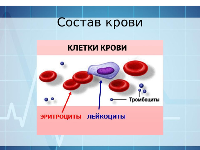 Состав крови 