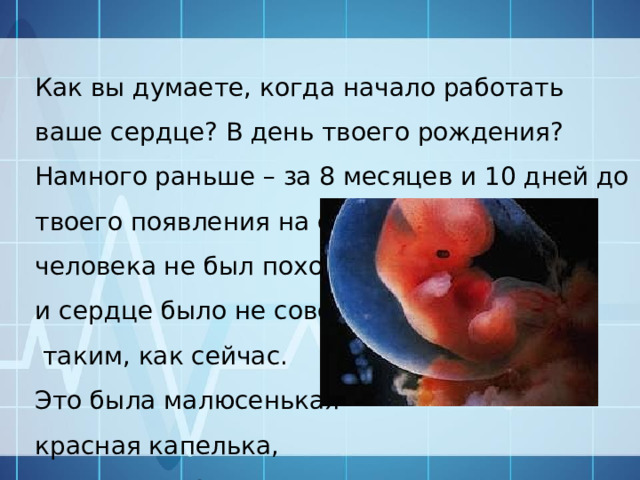 Как вы думаете, когда начало работать ваше сердце? В день твоего рождения? Намного раньше – за 8 месяцев и 10 дней до твоего появления на свет! Ты ещё и на человека не был похож, и сердце было не совсем  таким, как сейчас. Это была малюсенькая красная капелька, но она уже билась и пульсировала! 