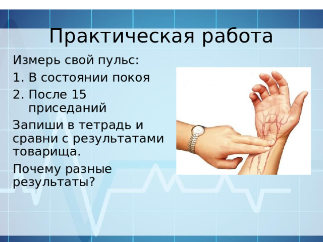 Практическая работа Измерь свой пульс: В состоянии покоя После 15 приседаний Запиши в тетрадь и сравни с результатами товарища. Почему разные результаты? 