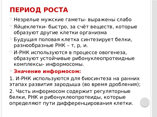 Период роста Незрелые мужские гаметы- выражены слабо Яйцеклетки- быстро, за счёт веществ, которые образуют другие клетки организма Будущая половая клетка синтезирует белки, разнообразные РНК – т, р, и. И-РНК используются в процессе овогенеза, образуют устойчивые рибонуклеопротеидные комплексы- информосомы. Значение информосом: 1. И-РНК используются для биосинтеза на ранних этапах развития зародыша (во время дробления); 2. Часть информосом содержит регуляторные белки, РНК и рибонуклеопротеиды, которые определяют пути дифференцирования клетки. 