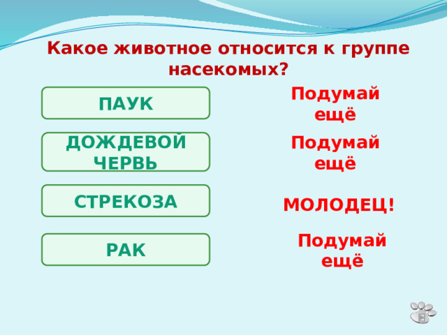 Какое животное относится к группе насекомых? ПАУК Подумай ещё ДОЖДЕВОЙ ЧЕРВЬ Подумай ещё СТРЕКОЗА МОЛОДЕЦ! РАК Подумай ещё 