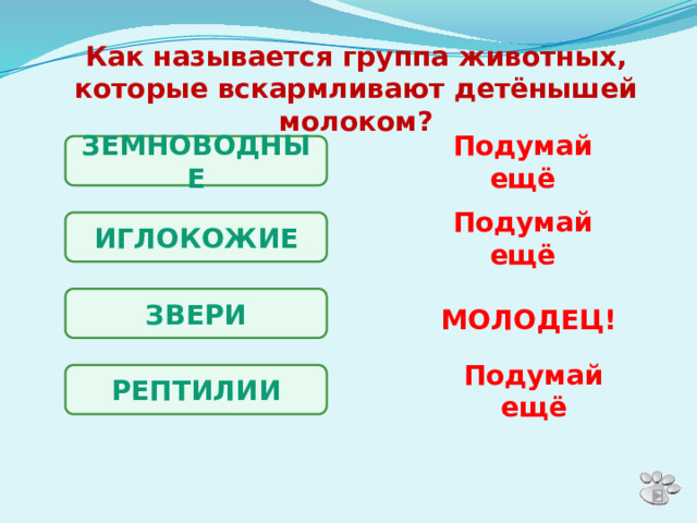 Как называется группа животных, которые вскармливают детёнышей молоком? ЗЕМНОВОДНЫЕ Подумай ещё ИГЛОКОЖИЕ Подумай ещё ЗВЕРИ МОЛОДЕЦ! РЕПТИЛИИ Подумай ещё 