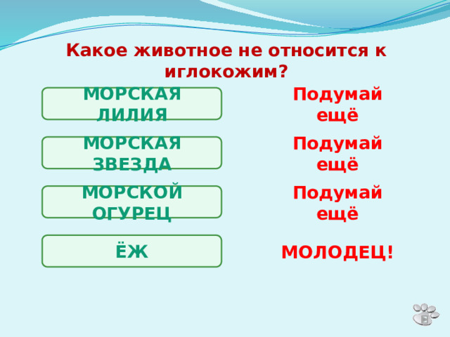 Какое животное не относится к иглокожим? МОРСКАЯ ЛИЛИЯ Подумай ещё МОРСКАЯ ЗВЕЗДА Подумай ещё МОРСКОЙ ОГУРЕЦ Подумай ещё ЁЖ МОЛОДЕЦ! 