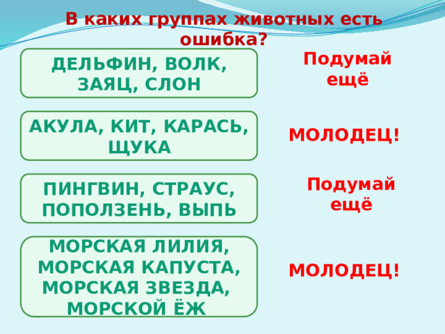 В каких группах животных есть ошибка? ДЕЛЬФИН, ВОЛК, ЗАЯЦ, СЛОН Подумай ещё АКУЛА, КИТ, КАРАСЬ, ЩУКА МОЛОДЕЦ! ПИНГВИН, СТРАУС, ПОПОЛЗЕНЬ, ВЫПЬ Подумай ещё МОРСКАЯ ЛИЛИЯ, МОРСКАЯ КАПУСТА, МОРСКАЯ ЗВЕЗДА, МОРСКОЙ ЁЖ МОЛОДЕЦ! 