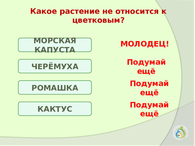 Какое растение не относится к цветковым? МОЛОДЕЦ! МОРСКАЯ КАПУСТА Подумай ещё ЧЕРЁМУХА РОМАШКА Подумай ещё КАКТУС Подумай ещё 