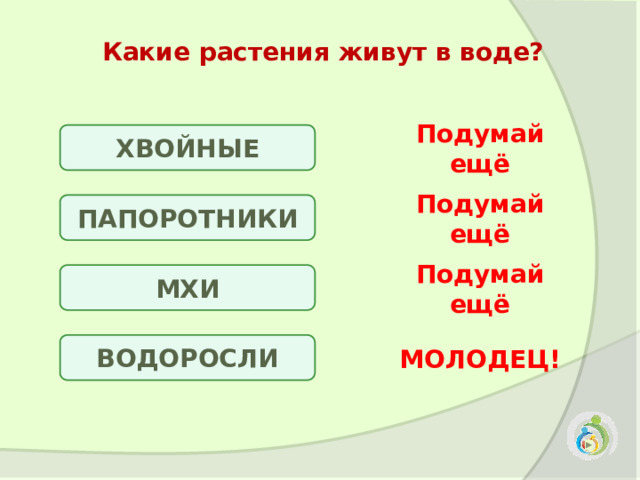 Какие растения живут в воде? ХВОЙНЫЕ Подумай ещё ПАПОРОТНИКИ Подумай ещё МХИ Подумай ещё ВОДОРОСЛИ МОЛОДЕЦ! 