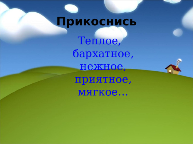 Прикоснись Теплое, бархатное, нежное, приятное, мягкое… 