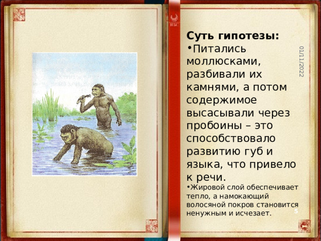 01/11/2022 Суть гипотезы: Питались моллюсками, разбивали их камнями, а потом содержимое высасывали через пробоины – это способствовало развитию губ и языка, что привело к речи. Жировой слой обеспечивает тепло, а намокающий волосяной покров становится ненужным и исчезает.  