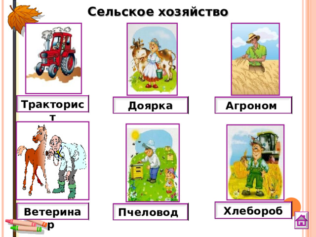 Сельское хозяйство Тракторист Доярка Агроном Хлебороб Ветеринар Пчеловод 