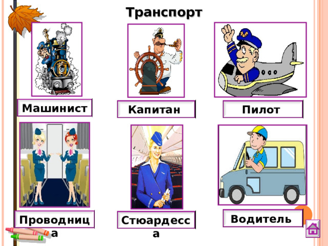 Транспорт Машинист Капитан Пилот Водитель Проводница Стюардесса 