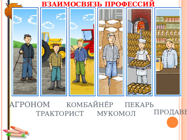 ВЗАИМОСВЯЗЬ ПРОФЕССИЙ АГРОНОМ КОМБАЙНЁР ПЕКАРЬ ПРОДАВЕЦ ТРАКТОРИСТ МУКОМОЛ 