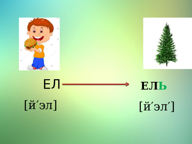  ЕЛ ЕЛ Ь [ й′эл ] [ й′эл′ ] 