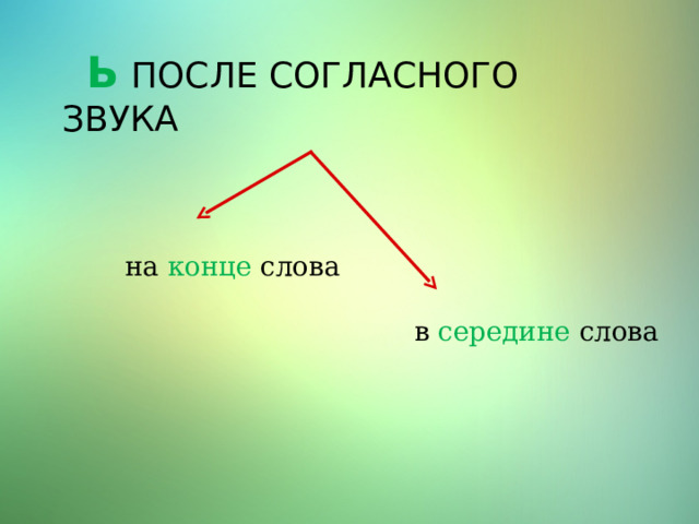  Ь  ПОСЛЕ СОГЛАСНОГО ЗВУКА на  конце  слова   в середине слова 