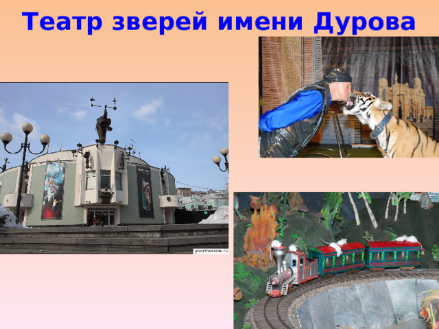 Театр зверей имени Дурова 
