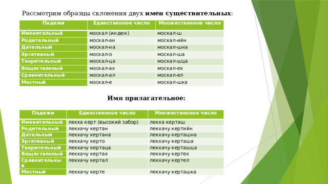 Рассмотрим образцы склонения двух имен существительных : Падежи Единственное число Именительный Множественное число москал (индюк) Родительный москал-ш москал-ан Дательный москал-ийн москал-на Эргативный Творительный москал-о москал-шна москал-ца Вещественный москал-ша москал-шца москал-ах Сравнительный москал-ех москал-ал Местный москал-ел москал-е москал-шка Имя прилагательное: Падежи Именительный Единственное число лекха керт (высокий забор) Родительный Множественное число Дательный лекха керташ лекхачу кертан Эргативный лекхачу кертийн лекхачу кертана Творительный лекхачу керташна лекхачу керто Вещественный лекхачу кертаца лекхачу керташа лекхачу керташца Сравнительный лекхачу кертах Местный лекхачу кертех лекхачу кертал лекхачу кертел лекхачу керте лекхачу керташка 