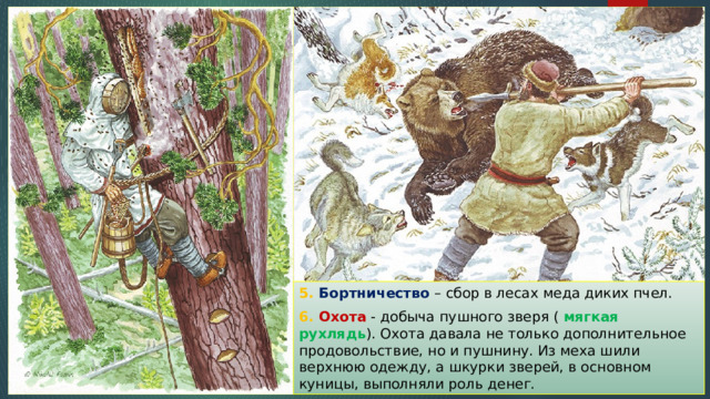 5. Бортничество – сбор в лесах меда диких пчел. 6. Охота - добыча пушного зверя ( мягкая рухлядь ). Охота давала не только дополнительное продовольствие, но и пушнину. Из меха шили верхнюю одежду, а шкурки зверей, в основном куницы, выполняли роль денег. 