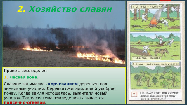 2. Хозяйство славян Приемы земледелия: 1. Лесная зона . Славяне занимались корчеванием деревьев под земельные участки. Деревья сжигали, золой удобряя почву. Когда земля истощалась, выжигали новый участок. Такая система земледелия называется подсечно-огневой . 