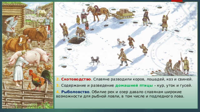 2. Скотоводство . Славяне разводили коров, лошадей, коз и свиней. 3. Содержание и разведение домашней птицы – кур, уток и гусей. 4. Рыболовство . Обилие рек и озер давало славянам широкие возможности для рыбной ловли, в том числе и подледного лова. 