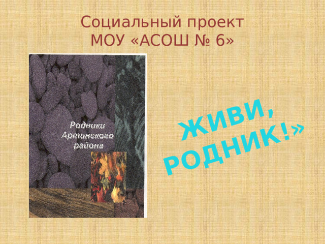 Живи, родник!» Социальный проект  МОУ «АСОШ № 6» 