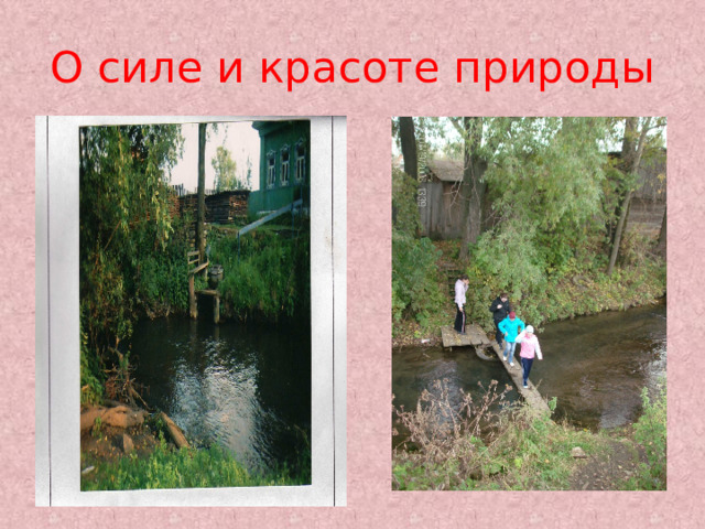О силе и красоте природы 
