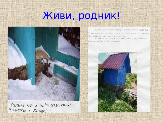 Живи, родник! 
