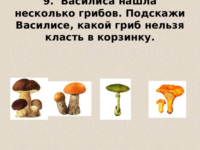 9. Василиса нашла несколько грибов. Подскажи Василисе, какой гриб нельзя класть в корзинку. 