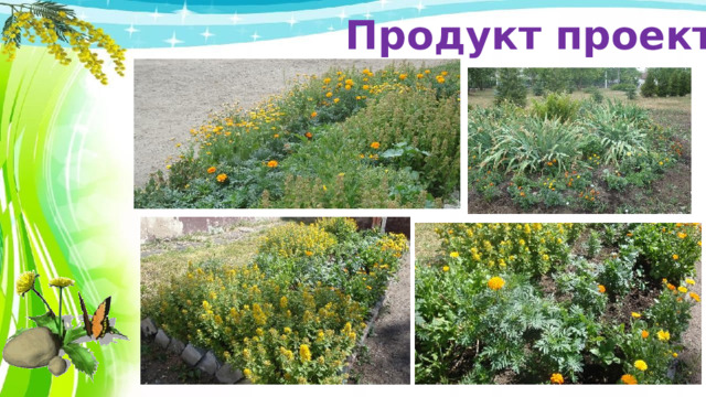 Продукт проекта 