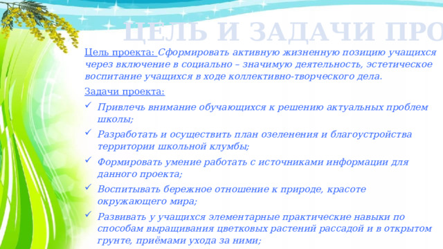 ЦЕЛЬ И ЗАДАЧИ ПРОЕКТА: Цель проекта: Сформировать активную жизненную позицию учащихся через включение в социально – значимую деятельность, эстетическое воспитание учащихся в ходе коллективно-творческого дела. Задачи проекта: Привлечь внимание обучающихся к решению актуальных проблем школы; Разработать и осуществить план озеленения и благоустройства территории школьной клумбы; Формировать умение работать с источниками информации для данного проекта; Воспитывать бережное отношение к природе, красоте окружающего мира; Развивать у учащихся элементарные практические навыки по способам выращивания цветковых растений рассадой и в открытом грунте, приёмами ухода за ними; Развивать трудовые навыки и умение работать самостоятельно, в парах и в команде.     