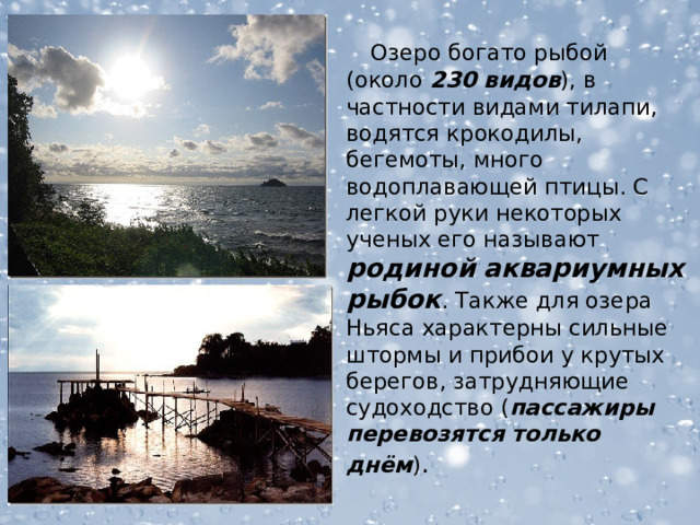  Озеро богато рыбой (около 230 видов ), в частности видами тилапи, водятся крокодилы, бегемоты, много водоплавающей птицы. С легкой руки некоторых ученых его называют родиной  аквариумных рыбок . Также для озера Ньяса характерны сильные штормы и прибои у крутых берегов, затрудняющие судоходство ( пассажиры перевозятся только днём ) . 