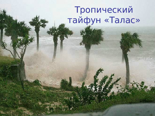 Тропический тайфун «Талас» 